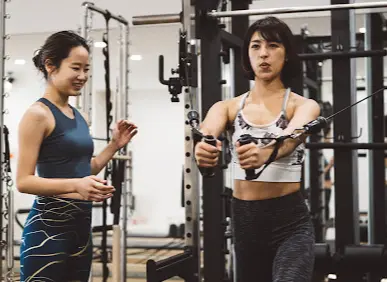 FlexFit 綱島のトレーニング指導