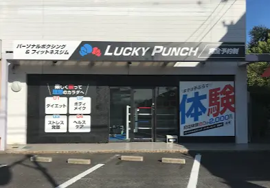 LUCKY PUNCH