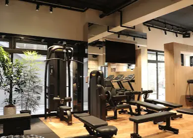 FITNESS GYM T.I.S1