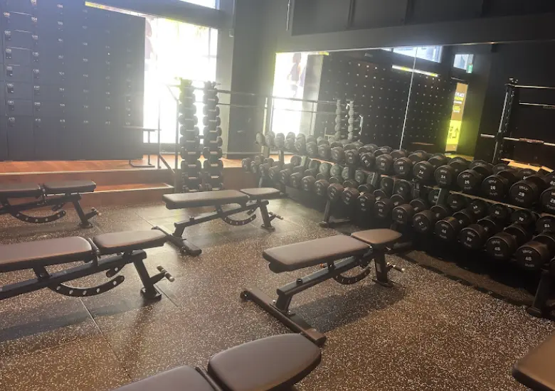 FITPLACE24 西八王子店のジム内画像
